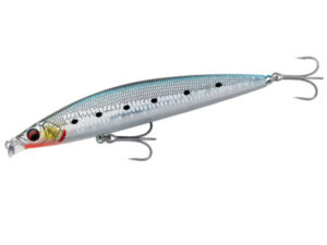 LS SARDINE
