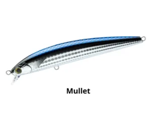 Mullet