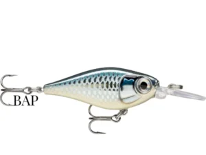 BAP