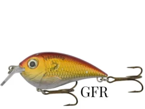 GFR