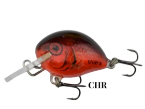 Chr
