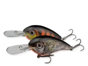 VIDRA NAUTILUS 60 DR
